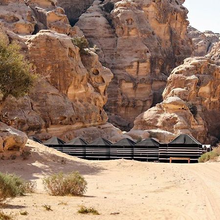 Ammarin Bedouin Camp Hotell Wadi Musa Exteriör bild