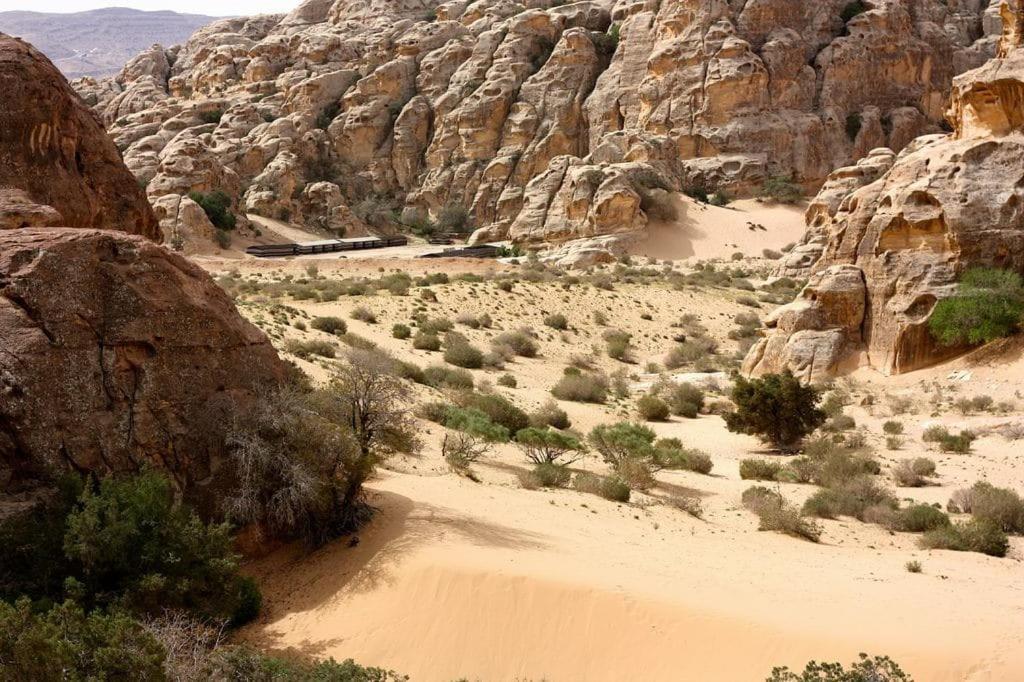 Ammarin Bedouin Camp Hotell Wadi Musa Exteriör bild