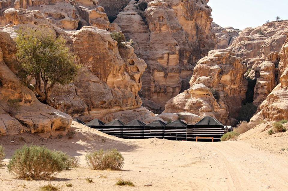 Ammarin Bedouin Camp Hotell Wadi Musa Exteriör bild