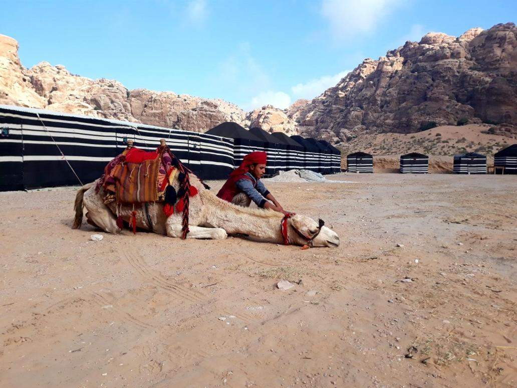 Ammarin Bedouin Camp Hotell Wadi Musa Exteriör bild