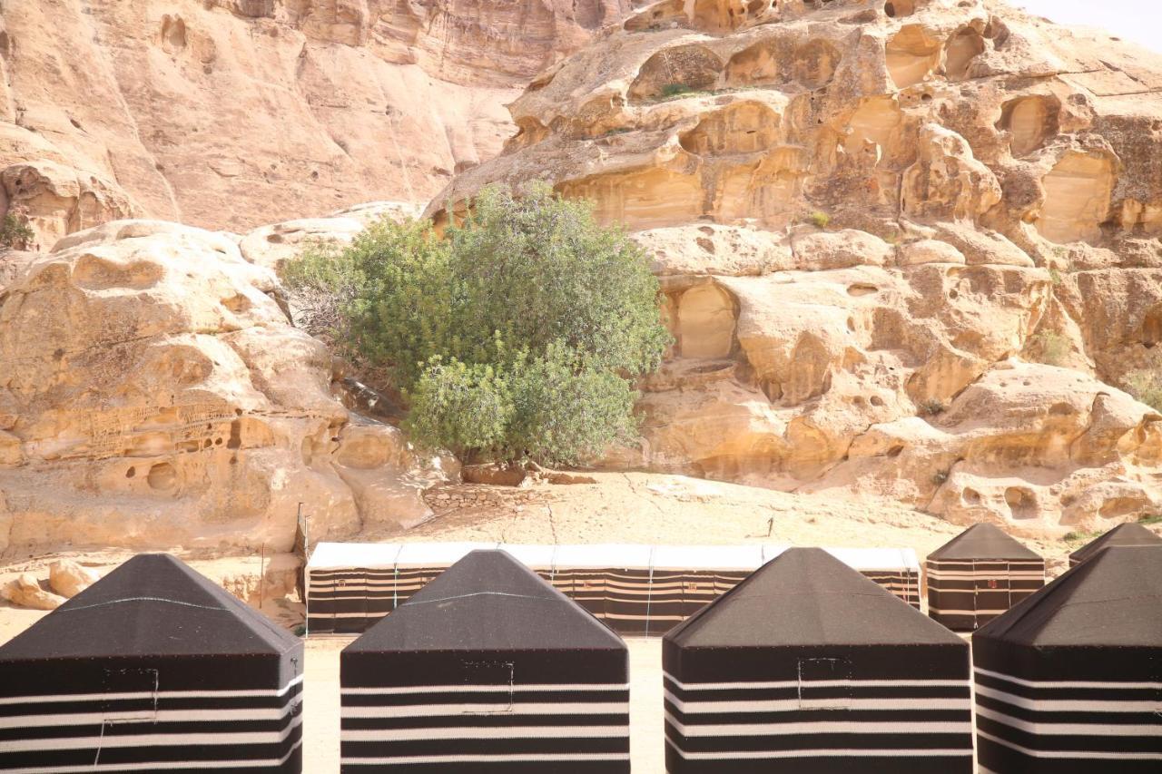 Ammarin Bedouin Camp Hotell Wadi Musa Exteriör bild